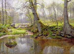 Étang forestier, 1890